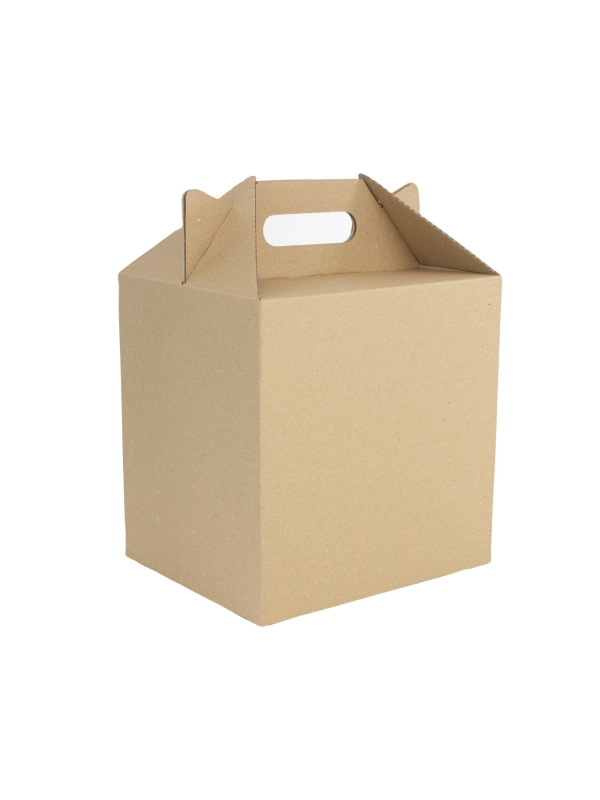 Pudełko z uchwytem DIETA BOX na pojemniki obiadowe, 190x230x230/305mm, opakowanie 50szt