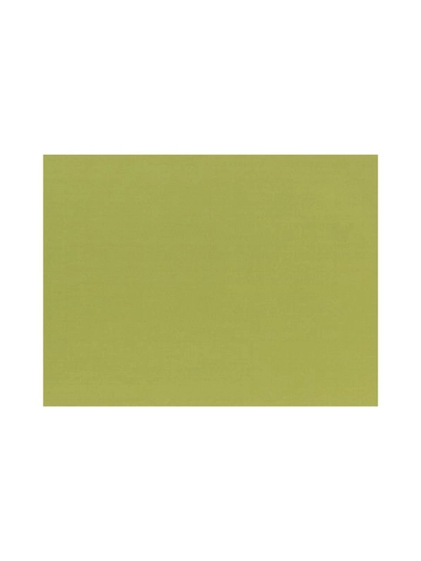 Podkładki na stół 30x40 100szt, oliwkowy