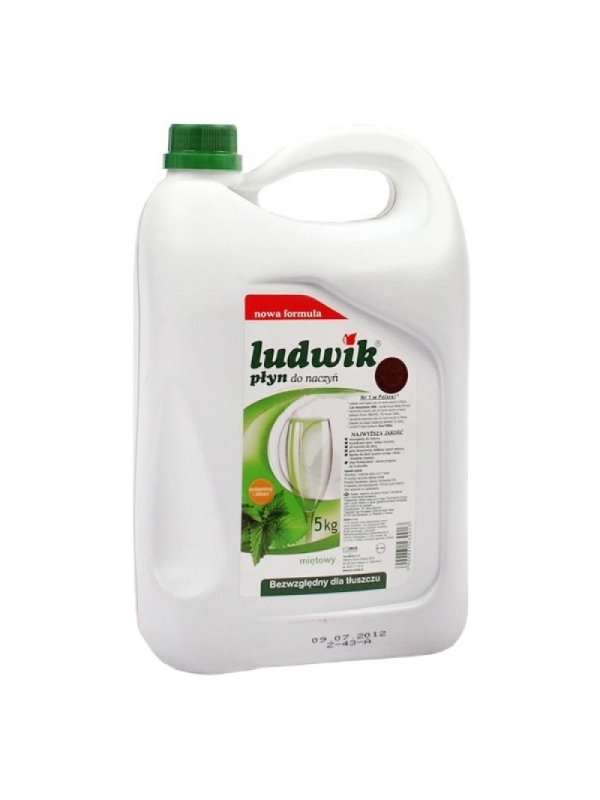Płyn do mycia naczyń LUDWIK miętowy 5l